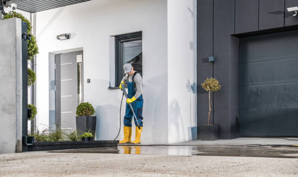 Best Pre-Holiday Cleaning  in Camanche, IA